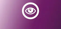 Vision